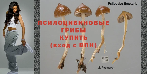 mdpv Ладушкин