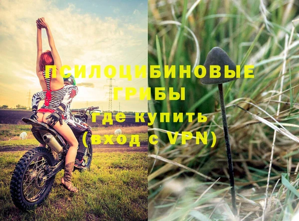 соль курить ск Кулебаки