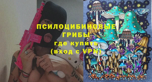 ПСИЛОЦИБИНОВЫЕ ГРИБЫ Куйбышев