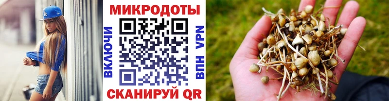 закладка  Хабаровск  Псилоцибиновые грибы GOLDEN TEACHER 