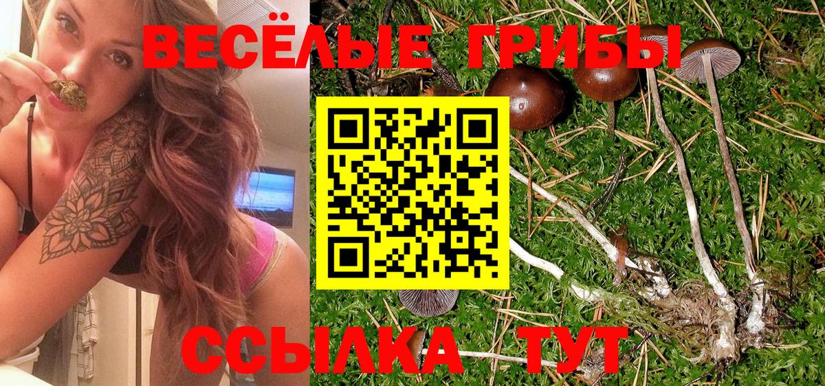 Галлюциногенные грибы Cubensis  Вход с VPN  Хабаровск 