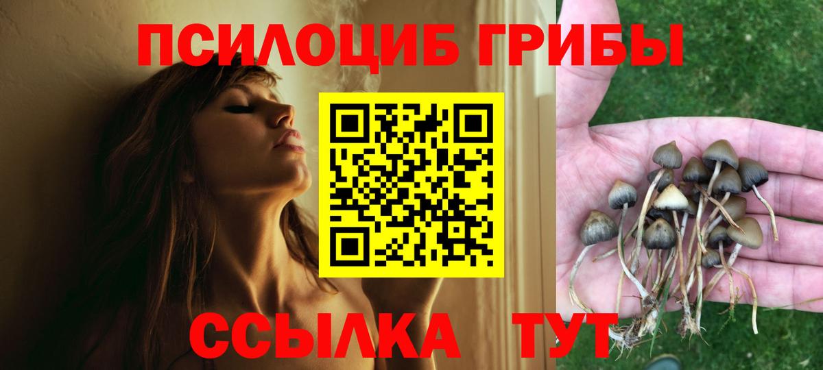 Псилоцибиновые грибы Psilocybine cubensis Хабаровск